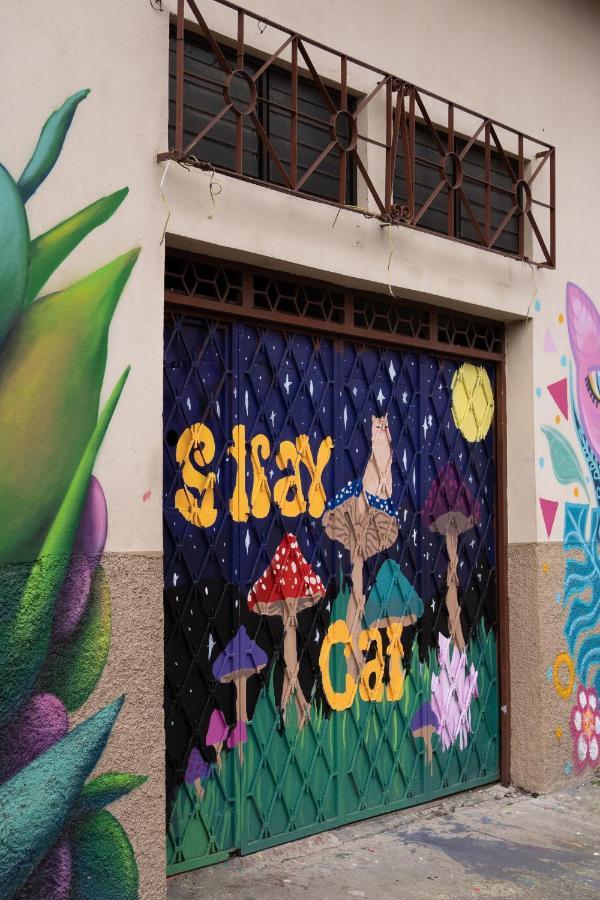 Stray Cat Hostel サンホセ エクステリア 写真